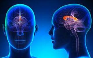 Гипоплазия мозолистого тела головного мозга у ребенка лечение