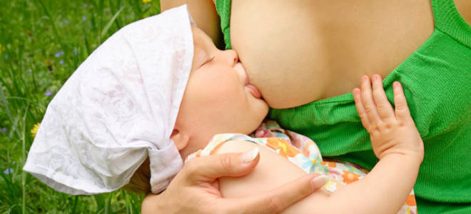 Правильное прикладывание малыша к груди