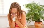 Аллергия на клеща домашней пыли у ребенка лечение