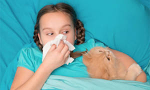 Симптомы аллергии на кота у ребенка