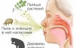 Аллергический насморк у ребенка симптомы и лечение доктор комаровский