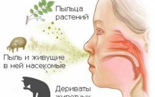Аллергический насморк у ребенка симптомы и лечение доктор комаровский